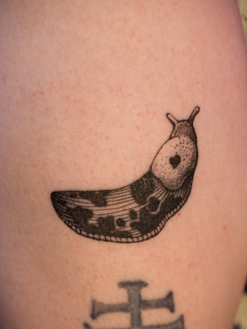 BananaSlug-tall