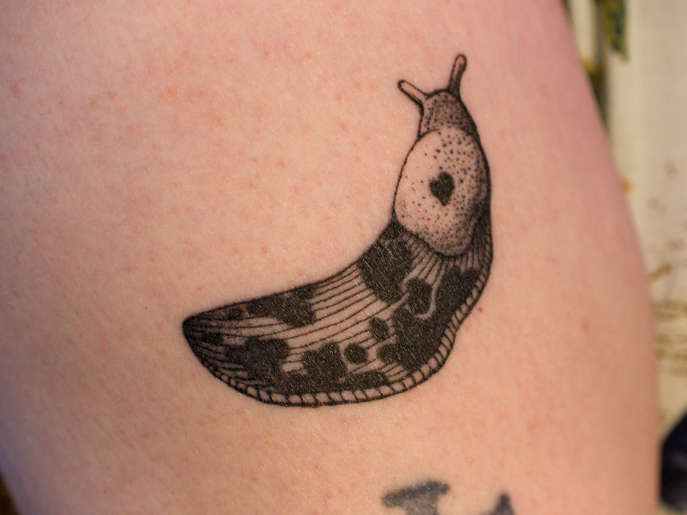 BananaSlug-wide