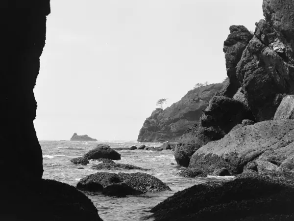 Shi Shi Beach